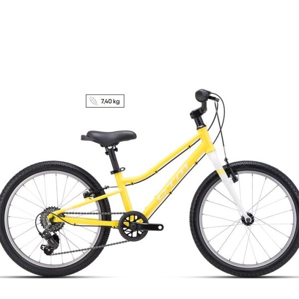 Dviratis CTM SLY 20"