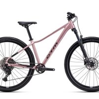 Dviratis CTM Charisma 4.0 29" dydis L 1