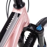 Dviratis CTM Charisma 4.0 29" dydis L 4