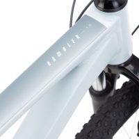 Dviratis CTM Rambler 1.0 29" 4
