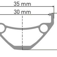 Ratlankis DT Swiss 29" E 593 2