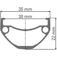 Ratlankis DT Swiss 29" U 663 2