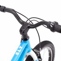 Dviratis CTM Sly 20" 5