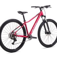 Dviratis CTM Charisma 1.0 29" dydis L 2