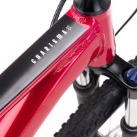 Dviratis CTM Charisma 1.0 29" dydis L 11