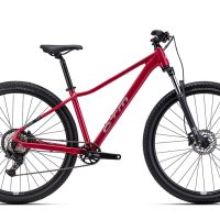 Dviratis CTM Charisma 1.0 29" dydis L 1