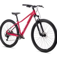 Dviratis CTM Charisma 1.0 29" dydis L 4