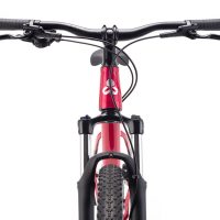 Dviratis CTM Charisma 1.0 29" dydis L 5
