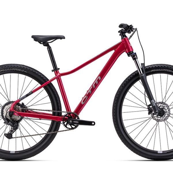 Dviratis CTM Charisma 1.0 29" dydis L