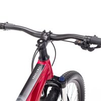 Dviratis CTM Charisma 1.0 29" dydis L 10