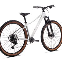 Dviratis CTM Charisma 3.0 29" dydis L 2