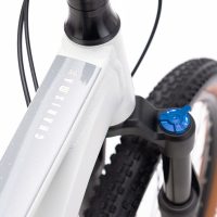 Dviratis CTM Charisma 3.0 29" dydis L 4
