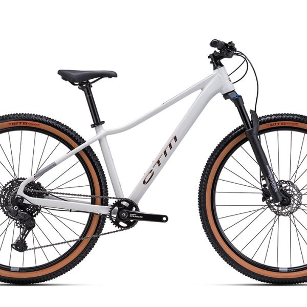 Dviratis CTM Charisma 3.0 29" dydis L