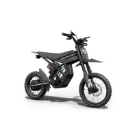 Riding Times GT54 PRO e-bike rental