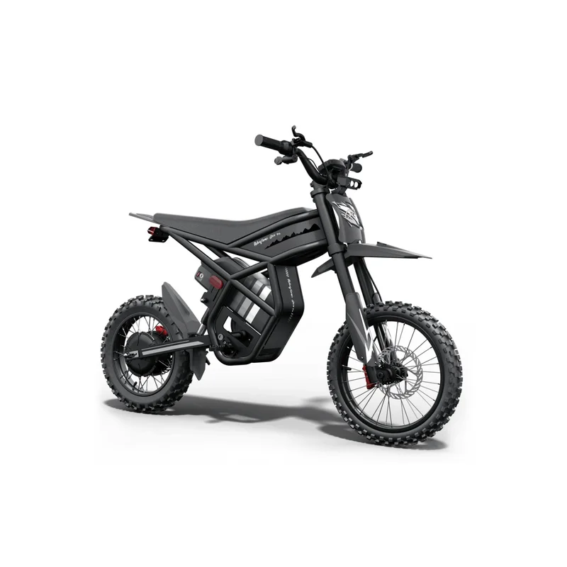 Riding Times GT54 PRO e-bike rental
