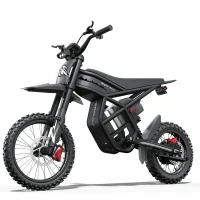 GT54 Pro Riding Times electric off-road bike 5