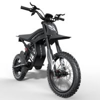 Riding Times GT54 PRO e-bike rental