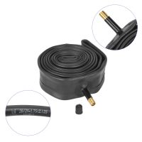 Kamera BLACKCAT 28/29x1.75–2.125 (AV)
