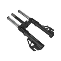 Priekinės šakės amortizatorius Segway Ninebot ZT3 (originalas)
