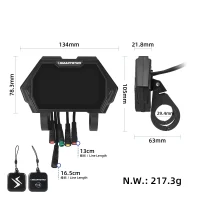 Spalvotas ekranas SmartGyro TFM13 (originalas)