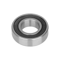 Guolis 6004RS (20x42x12 mm)