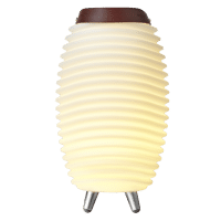 KOODUU Synergy 35 garso kolonėlė, LED šviestuvas, vyno šaldytuvas