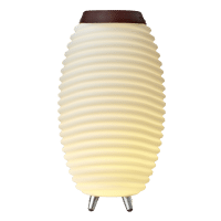 KOODUU Synergy 50 garso kolonėlė, LED šviestuvas, vyno šaldytuvas