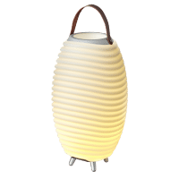 KOODUU Synergy 50 garso kolonėlė, LED šviestuvas, vyno šaldytuvas