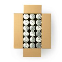 Slinger Dunlop Fort TR Plus (pressurized) 72 ball box